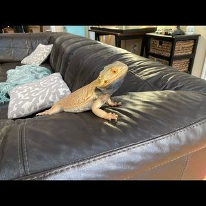 Meet your Posher, Laura